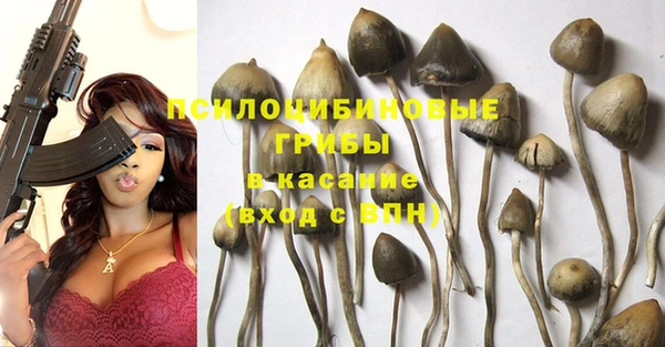 эйфоретик Новозыбков