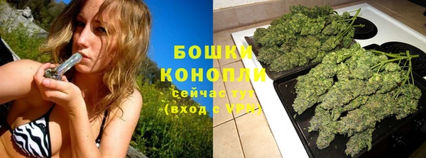 эйфоретик Новозыбков