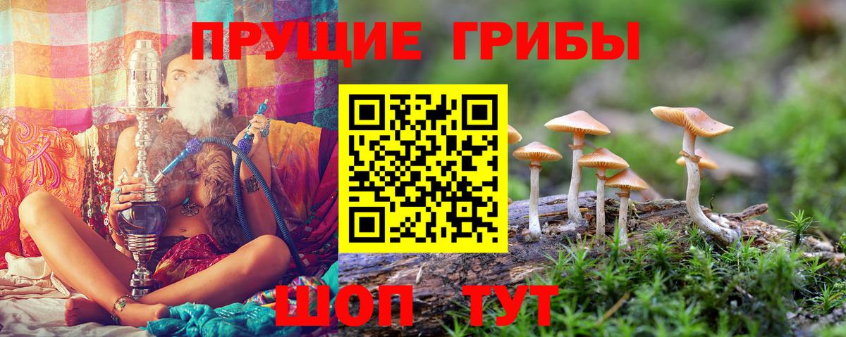Галлюциногенные грибы Magic Shrooms Обнинск