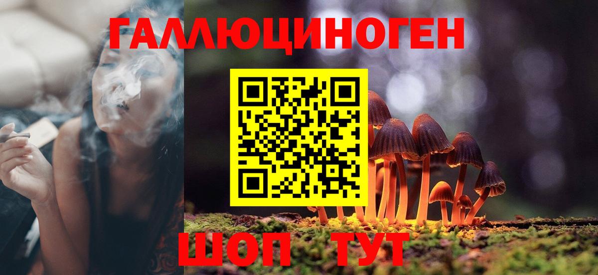 Псилоцибиновые грибы Cubensis  Вход с VPN  Обнинск 